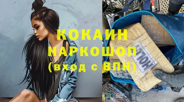 индика Михайловка