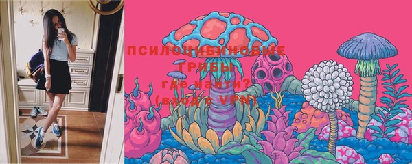 PSILOCYBIN Балабаново