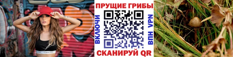 Галлюциногенные грибы MAGIC MUSHROOMS  купить наркотики сайты  Тетюши 